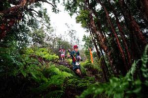 BIB: 
                            <button type="button" onclick="openModal(26201684)" class="btn btn-primary btn-sm float-right btn-popup" data-toggle="modal" data-target=".modal-high-quality">
                        <i class="fas fa-shopping-cart"></i> Add to Cart
                    </button>
                                            <button type="button" onclick="isThisMe(26201684, true)" class="btn btn-success btn-sm float-right btn-popup btn-isme hidden" data-toggle="tooltip" data-placement="bottom" title="นี่คือรูปของคุณใช่ไหม คลิกที่นี่เพื่อเอาเข้าอัลบั้ม">
                        <i class="fas fa-plus"></i> Add to album
                    </button>
                    <button type="button" onclick="isThisMe(26201684, false)" class="btn btn-warning btn-sm float-right btn-popup btn-isnotme hidden">
                        <i class="fas fa-ban"></i> Remove from album
                    </button>